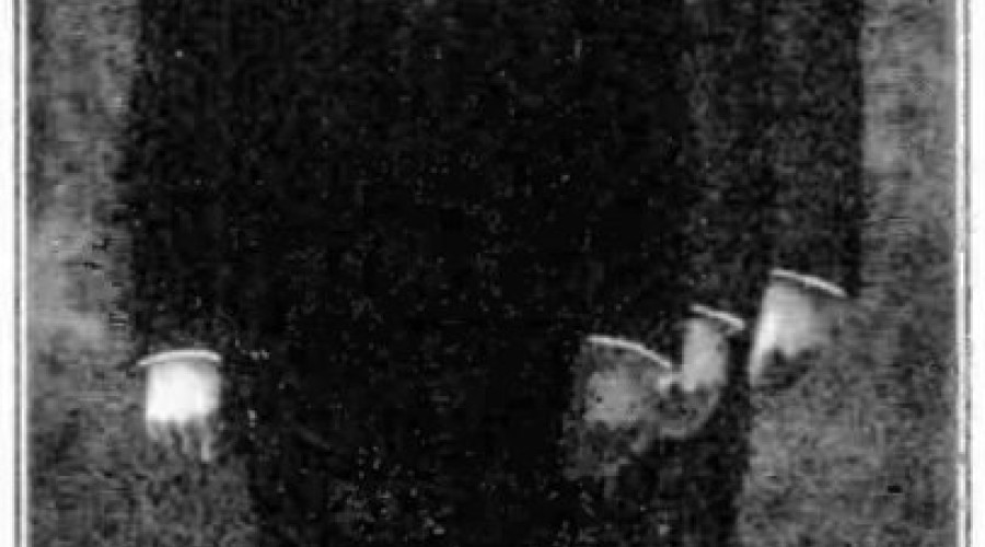 Кларенс Уиллард – человек, который растёт: история уникального артиста