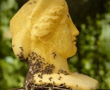 «Сделано пчёлами»: скульптуры Томаша Либертины из воска и живых ульев