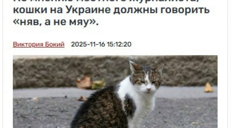 Журналист предложил заменить «мяу» на «няв» из-за дерусификации