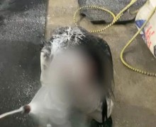 На Урале группа молодых людей избила студенток за отказ общаться, инцидент вызвал резонанс