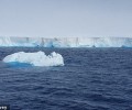 Гигантский айсберг угрожает Южной Георгии и её уникальной экосистеме