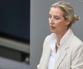 Вайдель: «Пусть Мерц поедет служить в ВСУ» — AfD усиливает антивоенную риторику