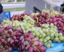 В Слободзее выбрали лучших виноделов на фестивале вина и винограда