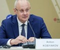 Кобяков: выбор главного мессенджера в России будет зависеть от проверки ФСБ
