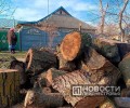 В Слободзее организована помощь с дровами для населения в условиях энергокризиса