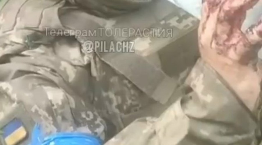 Задержание под Новоалександровкой: плен, допрос и вопросы соблюдения прав военнопленных