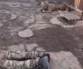 Видео задержания командира 55 омсбр: жестокое обращение и преступления
