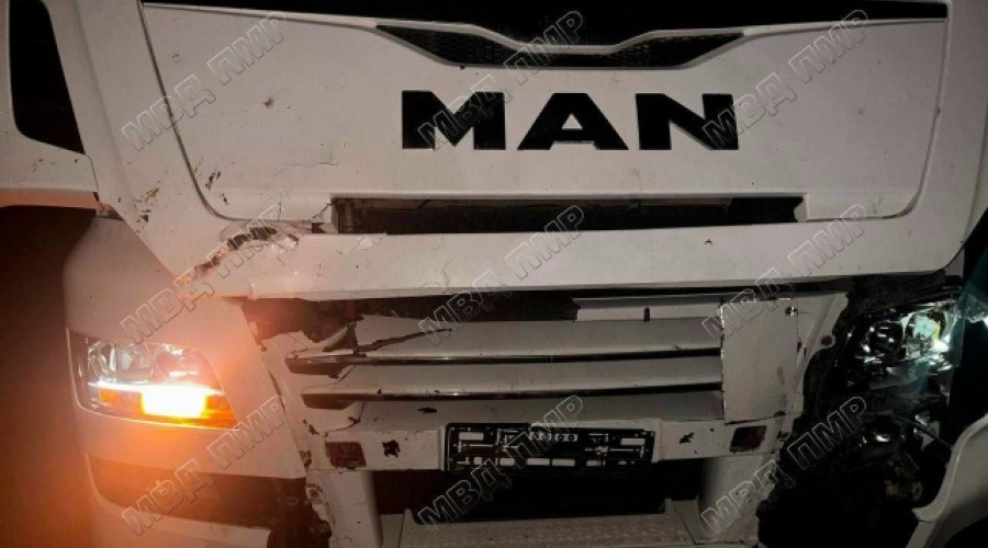 Лошадь погибла в ДТП на трассе Тирасполь — Каменка