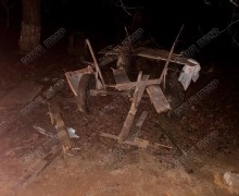 Лошадь погибла в ДТП на трассе Тирасполь — Каменка