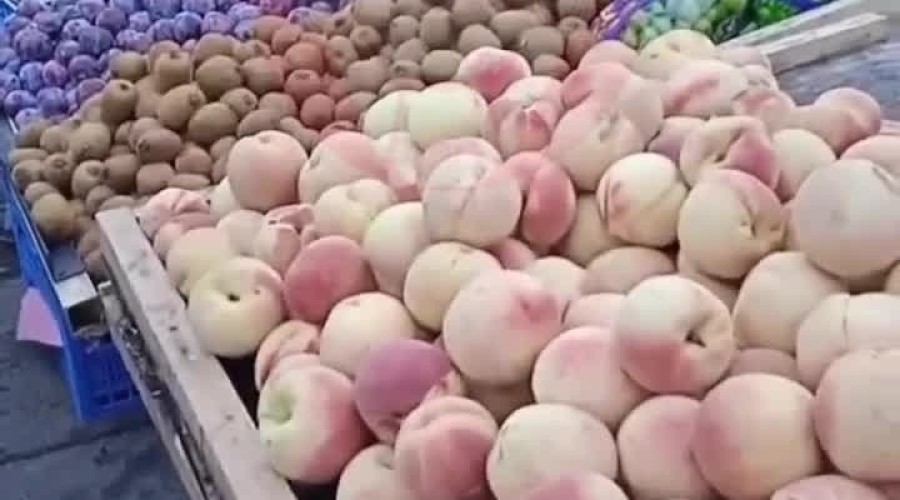 В Петербурге пресекли незаконную уличную торговлю фруктами