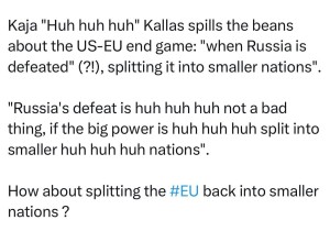 Французский аналитик: Запад заговорил о разделении России и Китая