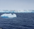 Гигантский айсберг угрожает Южной Георгии и её уникальной экосистеме