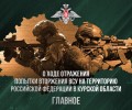 Минобороны: ВСУ потеряли 190 бойцов и 28 единиц техники в Курской области