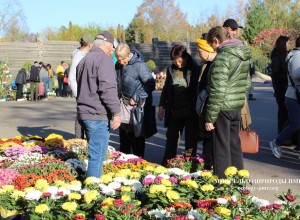 Выставка-продажа растений в Тирасполе: больше участников и саженцев