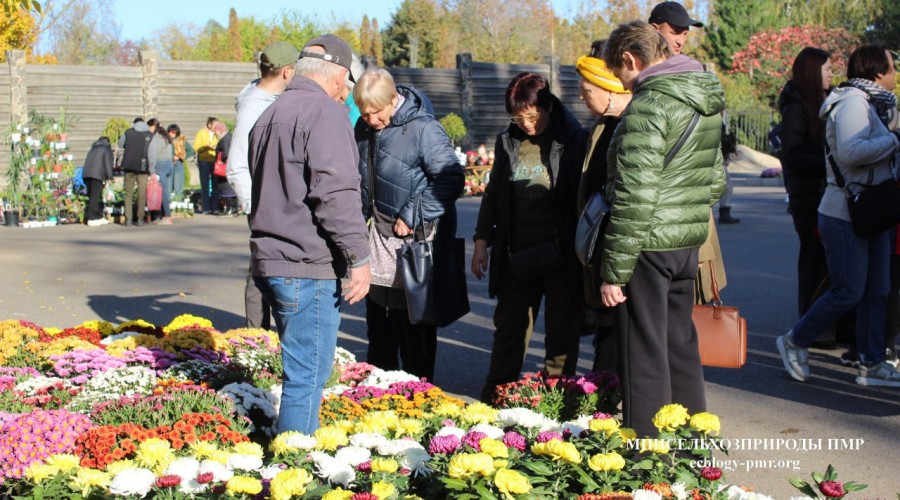 Выставка-продажа растений в Тирасполе: больше участников и саженцев