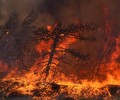 Обращение жителей Греции к правительству страны