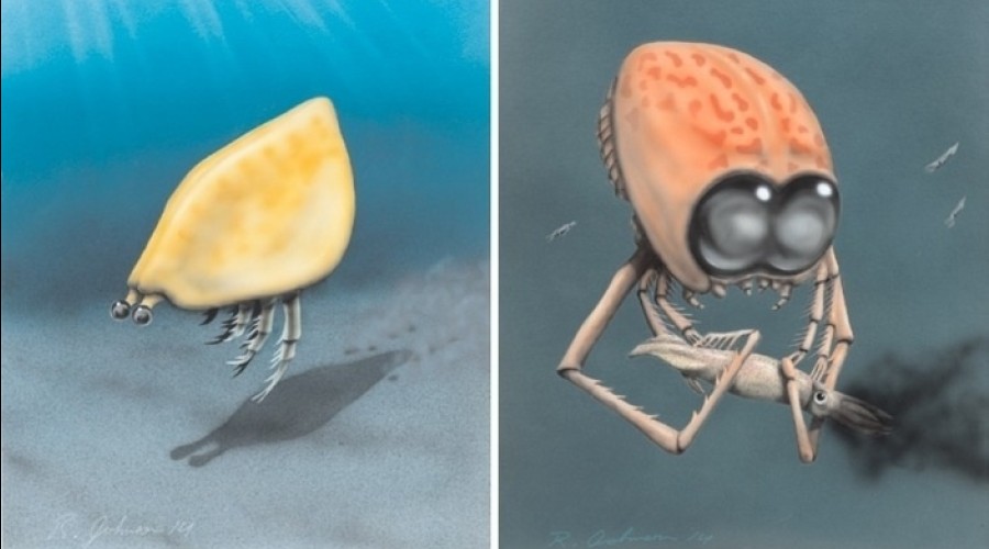 Тилакоцефал — членистоногое-инопланетянин из Юрского периода