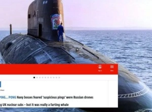 В Британии китов приняли за российское подводное шпионское оборудование