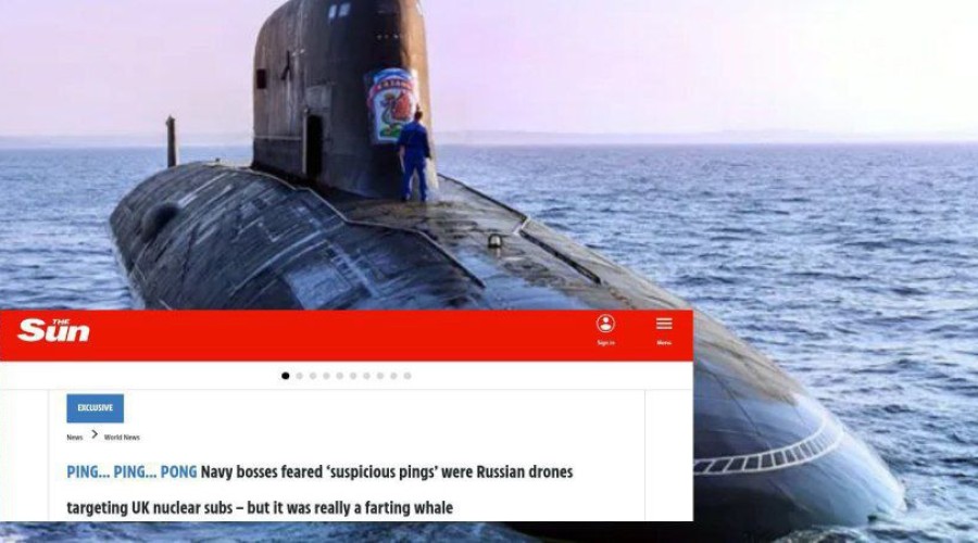 В Британии китов приняли за российское подводное шпионское оборудование