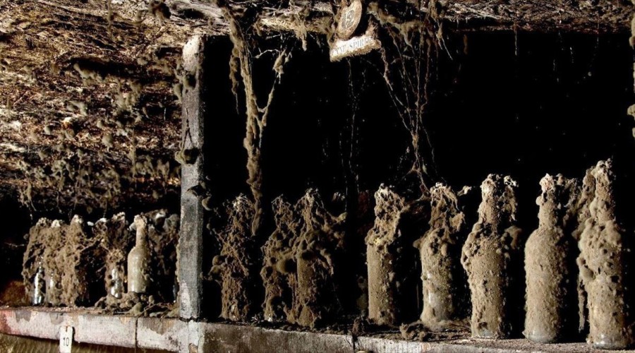 На Барбадосе найден самый старый и дорогой ром в мире