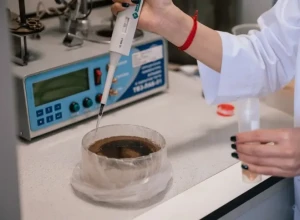 Российские учёные нашли способ превращать токсичные отходы в пластификатор для ПВХ