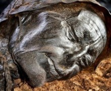 Тайна болотного человека: находка в датском болоте Бьелдсковдал