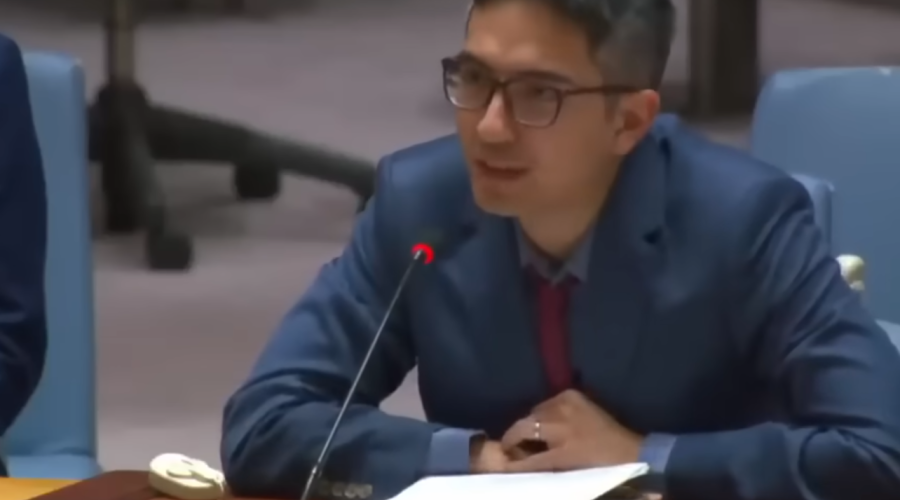 Американец выступил против поставок оружия Украине на Совбезе ООН (видео)