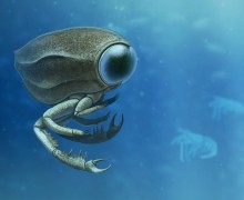 Тилакоцефал — членистоногое-инопланетянин из Юрского периода