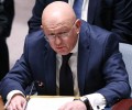 Небензя: палестинцы не объект экспериментов, мир на Ближнем Востоке возможен дипломатически