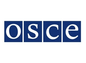 Встреча экспертов ПМР и РМ по вопросам энергетики: ответ МИД Приднестровья на заявления Олега Серебряна