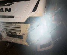 Лошадь погибла в ДТП на трассе Тирасполь — Каменка