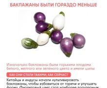 Как изменились овощи и фрукты за тысячи лет благодаря селекции человека