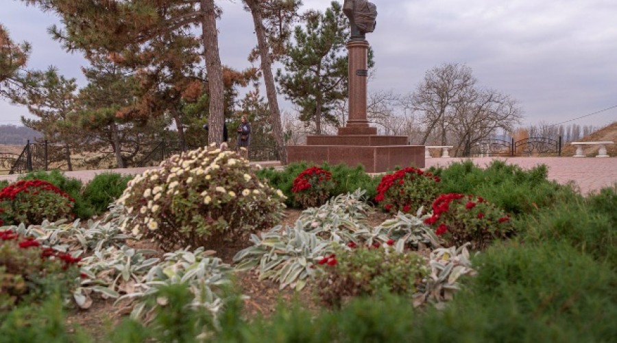 В Григориополе высадят 900 кустов роз в рамках озеленения