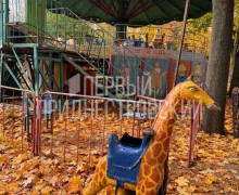 Подростки разгромили парк «Победа»: сломаны карусель и беседка