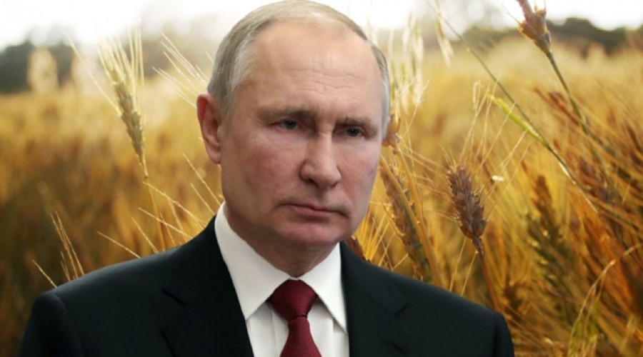 Россия передала активы «Агротерры» в управление Росимущества