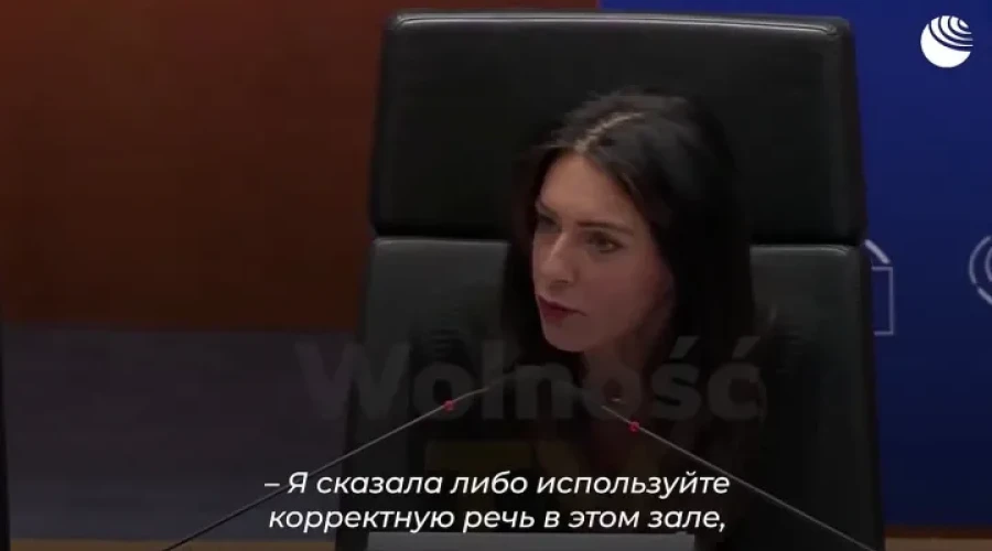 Профессор Хельсинкского университета раскритиковал выступление в Европарламенте