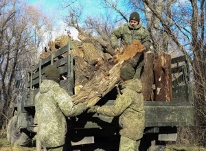 Военнослужащие Минобороны помогают жителям и школам с дровами и полевыми кухнями