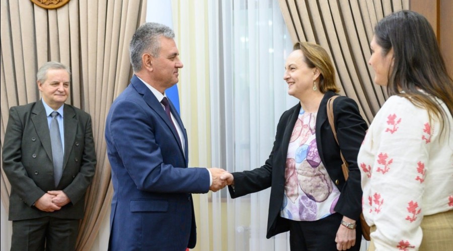 Красносельский провёл встречу с руководителем делегации ЕС в Молдове