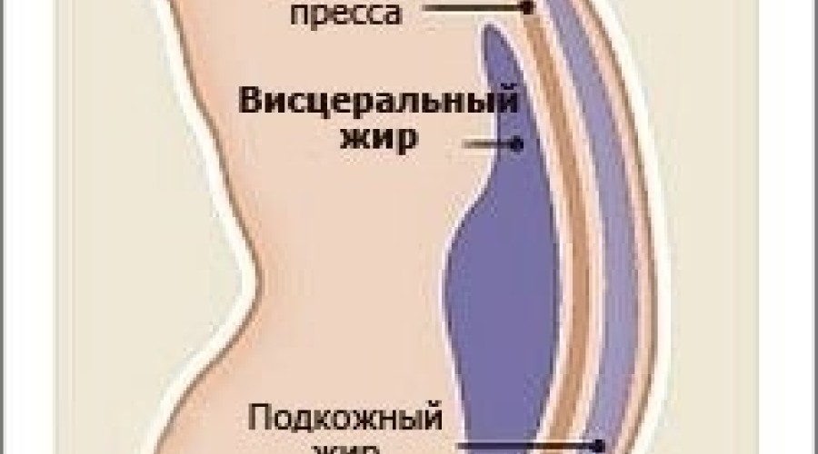 Почему растёт живот и как эффективно от него избавиться