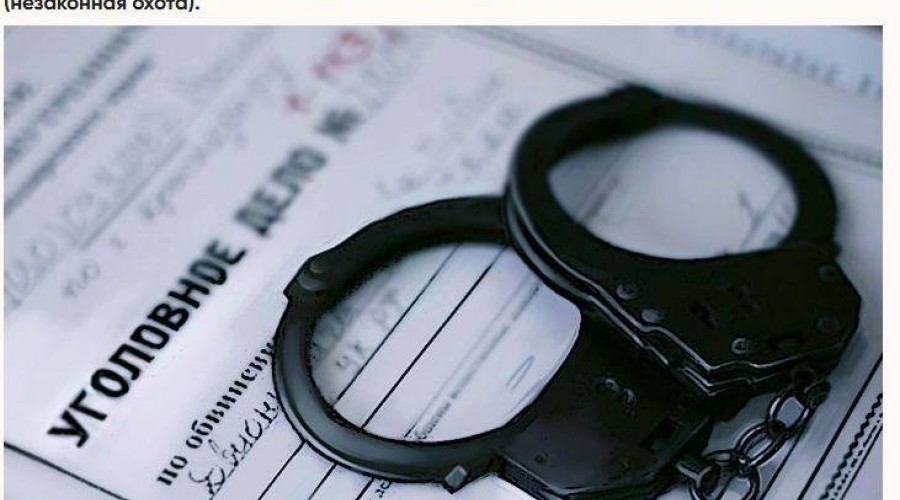 В Рыбницком районе браконьеры застрелили краснокнижную косулю