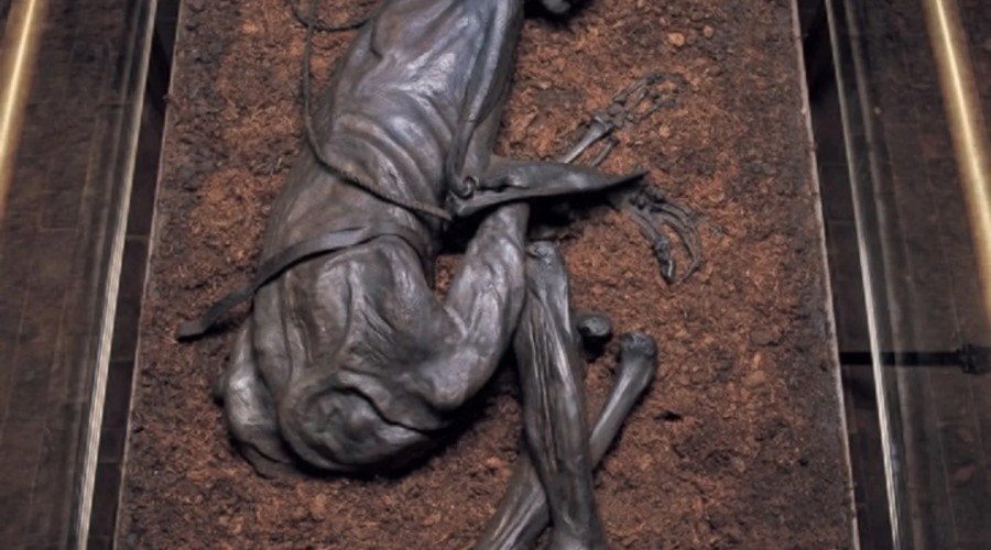 Тайна болотного человека: находка в датском болоте Бьелдсковдал