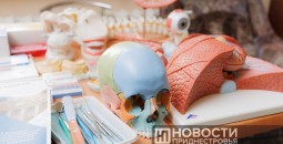 День открытых дверей в ПГУ: школьникам показали будущее образование