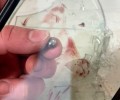 Атака дронов на Москву: жертвы, раненые и разрушения