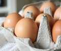 В Молдове выявили заражённые сальмонеллой яйца SRL “Speranța”