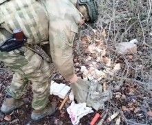 В ЛНР найден схрон с боеприпасами: работа Росгвардии и ФСБ
