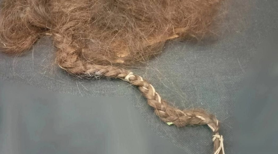 Жуткий артефакт в музее Чувашии: коса крепостной Татьяны Петровой