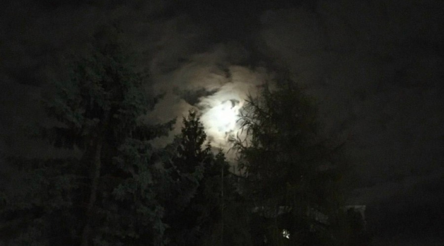 В ноябре над Землёй взойдёт «Луна охотника» — самое яркое суперлуние года