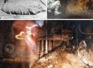 Слоновья нога Чернобыля — живая смерть под саркофагом