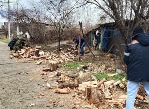 Добровольцы «Наследники Побед» помогают пенсионерам и многодетным семьям