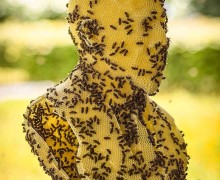 «Сделано пчёлами»: скульптуры Томаша Либертины из воска и живых ульев